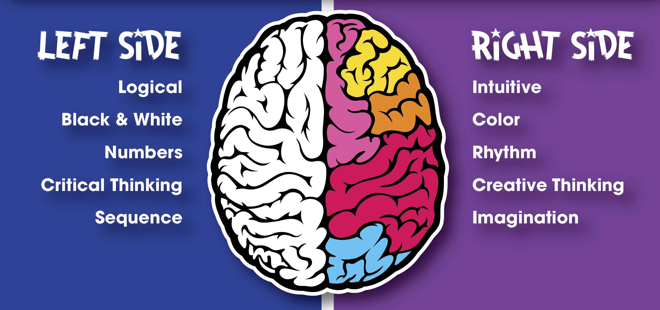 Math Genies Program develops your childs Whole Brain to increase their focus and concentration to ensure better grades Math Genies Program develops your childs Whole Brain to increase their focus and concentration to ensure better grades